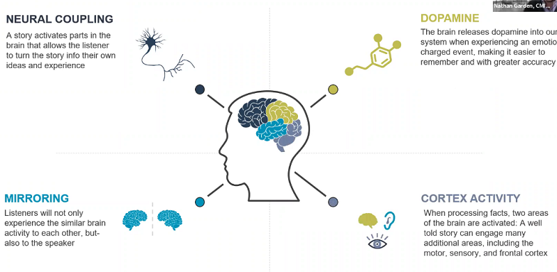 20230715153_brain_and_storytelling.jpg